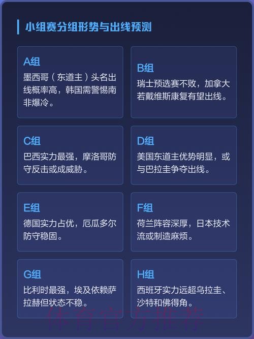 全面解读：世界杯热门球队实力与表现分析